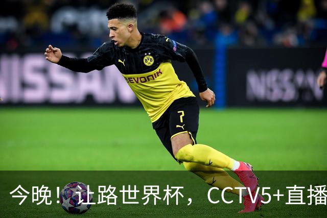 今晚！让路世界杯，CCTV5+直播中国男篮VS荷兰，NBA球员杨瀚森归队